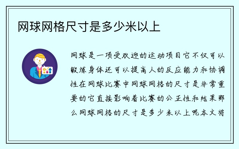 网球网格尺寸是多少米以上