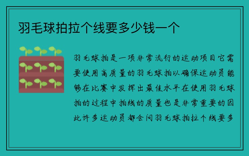 羽毛球拍拉个线要多少钱一个