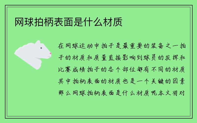 网球拍柄表面是什么材质